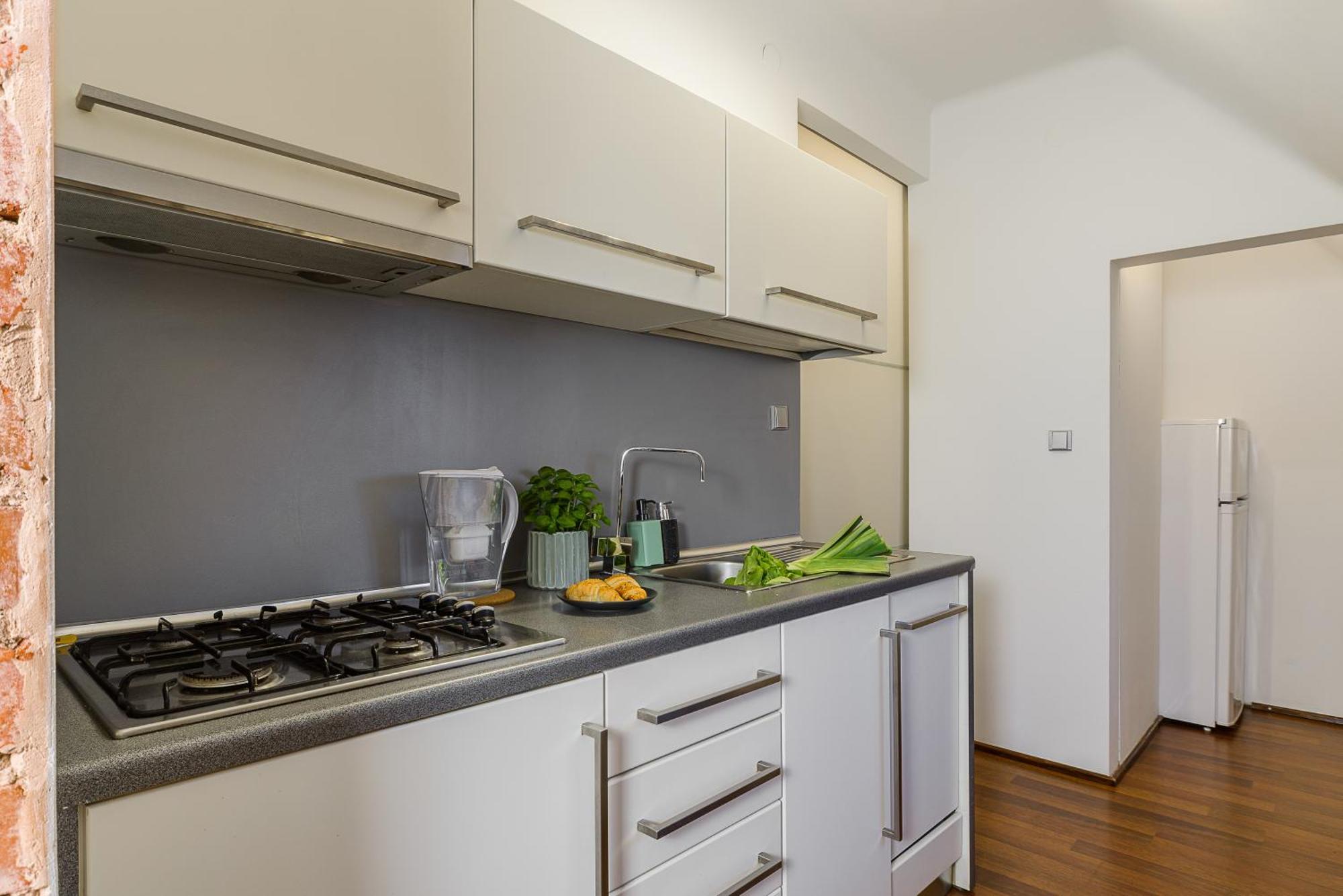 Lumina Duplex Apartment In Old Town 华沙 外观 照片